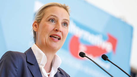 FILE PHOTO: An Alternative for Germany (AfD) party co-chair, Alice Weidel.