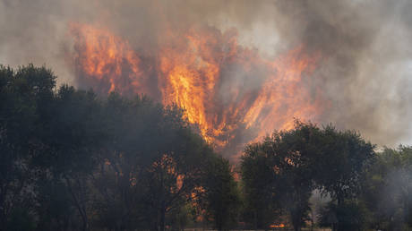 A forest fire burns on the M 206 road between Torrejon de Ardoz and Loeches near Madrid, Spain, July 23, 2026