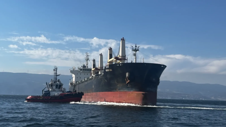 FILE PHOTO: The MV Reyhan Sari.