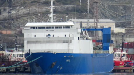 FILE PHOTO: The RoRo Cargo Ship Ural.
