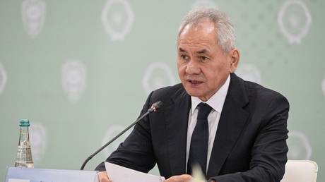 FILE PHOTO: Russian Security Council Secretary Sergey Shoigu