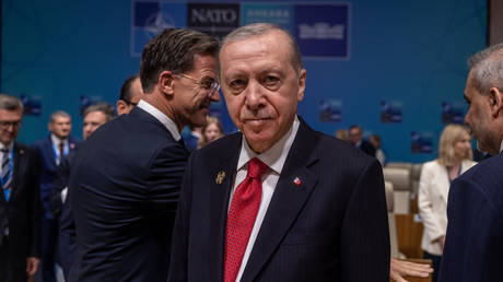 Turkish President Recep Tayyip Erdogan at the NATO summit on July 08, 2026 in Ankara, Türkiye