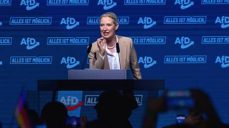 FILE PHOTO: Alternative for Germany (AfD) party co-chair Alice Weidel.