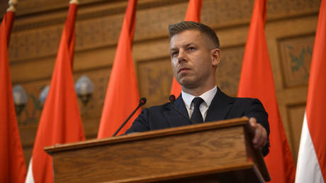 Prime Minister of Hungary Peter Magyar