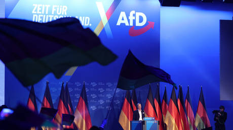 Alternative for Germany (AfD) co-chair Alice Weidel speaks to supporters at a rally in Halle, Germany, January 25, 2025.