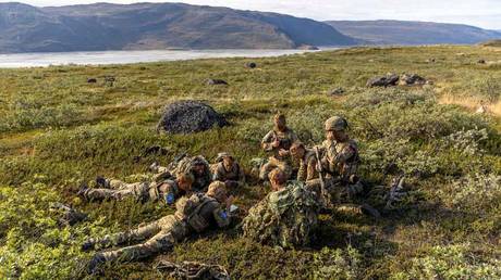 Danish conscripts practice concealment during training in Greenland, August 2026