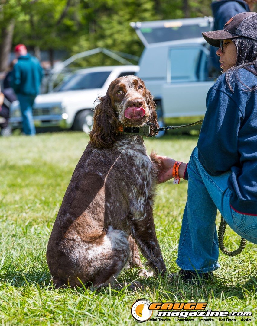 mini-nats-2026-191-dog-and-owner-at-mini-nats