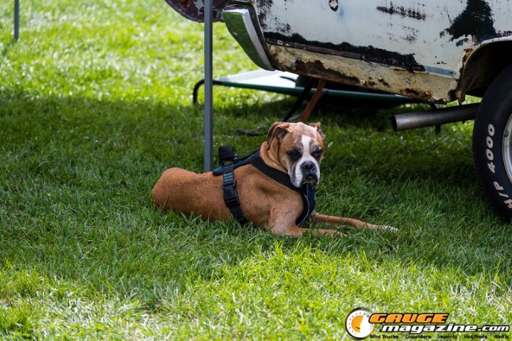 Custom trucks on display at All Truck Nationals